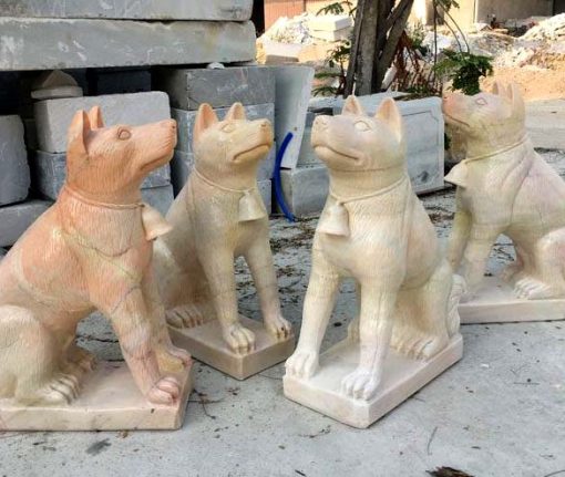 Mẫu chó đá đẹp