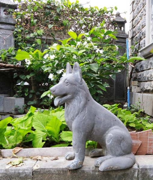 Mẫu chó đá đẹp