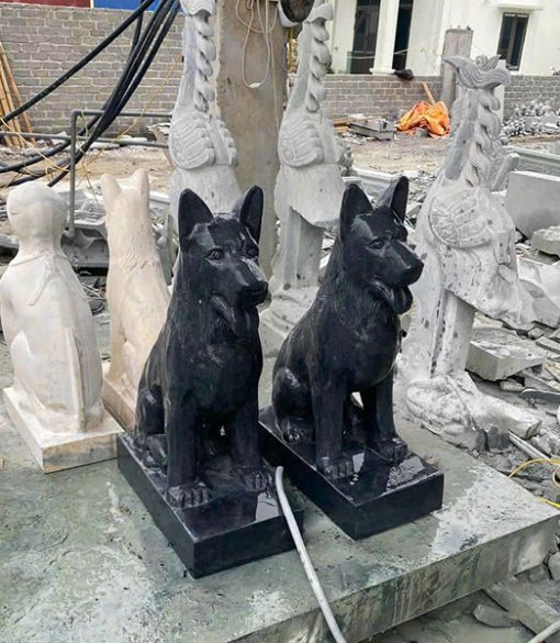 Mẫu chó đá xanh đen