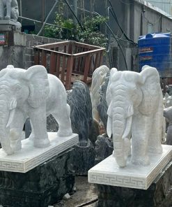 Mẫu Voi đá - 12