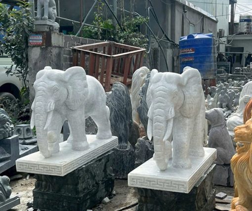 Mẫu Voi đá - 12