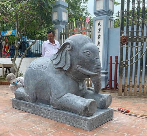 Mẫu Voi đá - 13